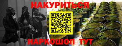 прущие грибы Комсомольск-на-Амуре