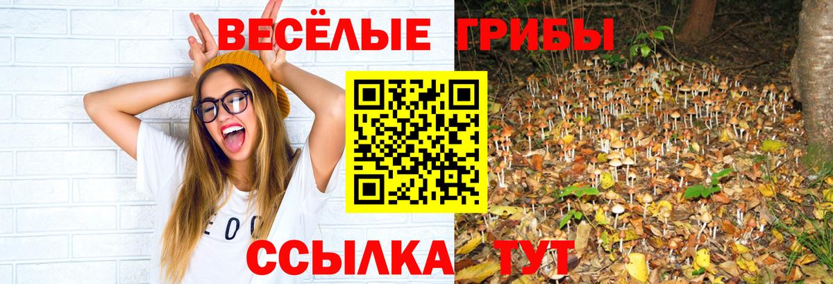 Псилоцибиновые грибы мицелий Кстово