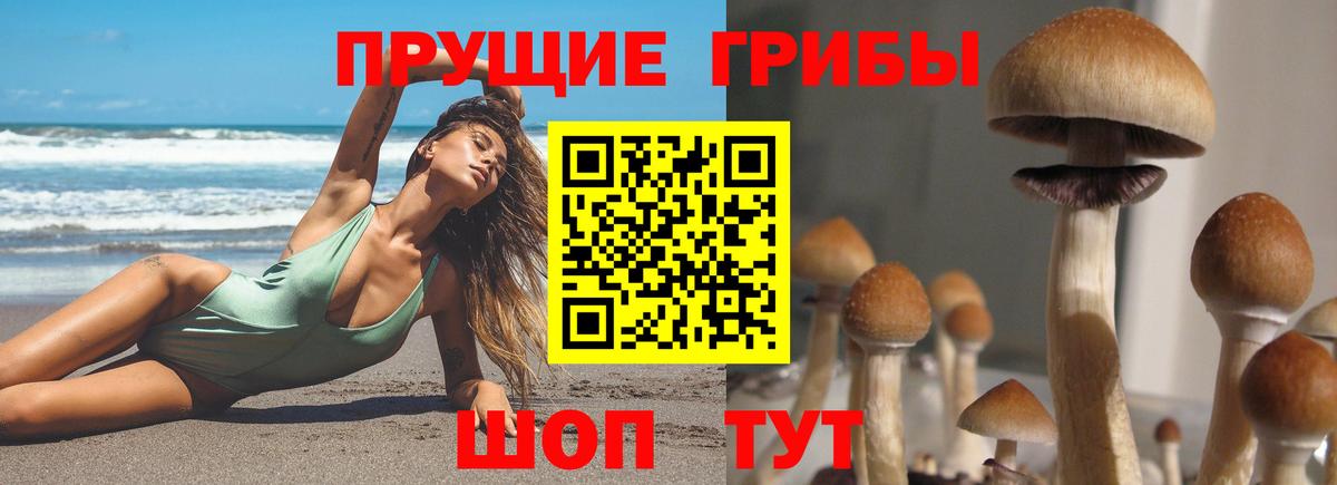 Псилоцибиновые грибы Magic Shrooms  Псилоцибиновые грибы GOLDEN TEACHER  Кстово  Вход с VPN 